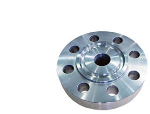 Ring Type Joint Flange