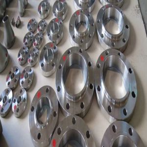 Stainless Steel 310 Flanges