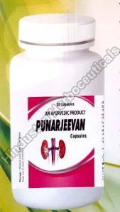 Punarjeevan Kidney Care Capsule