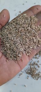 Cummins Seeds