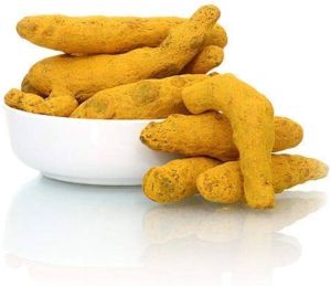 IPM Turmeric Finger