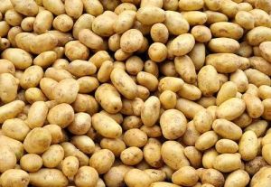 Fresh Brown Potato