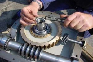Ribbon Blender Repairing Service