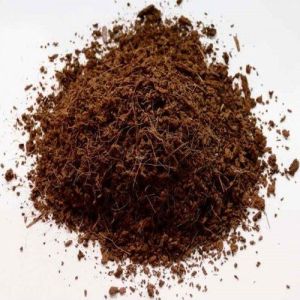 Coco Peat Fertilizer