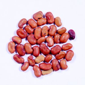 Hybrid Agathi Keerai Seeds