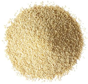 Hybrid Spleen Amaranth Seeds
