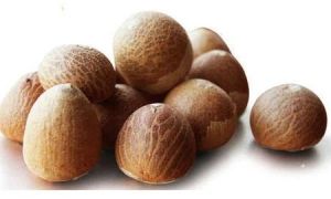 Whole Dried Betel Nut