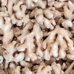 Dried Ginger