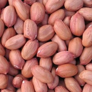 Peanut