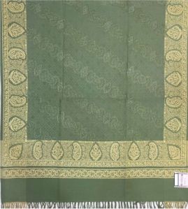 Pista Green Viscose Wool Shawl with Embroidery Border