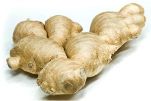 Natural Whole Ginger Root, Color : Brown, Packaging Type : Loose