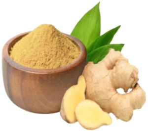 Dehydrated Ginger Powder