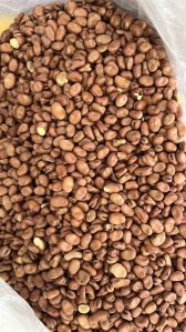 Australian Fava Beans