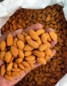 Almond