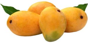 Fresh Yellow Mango