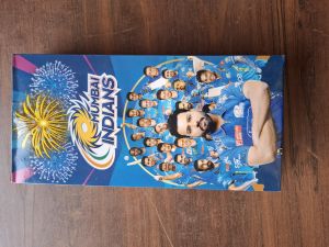 Shiva-kashi Crackling Multi Sky Shot Crackers for Events