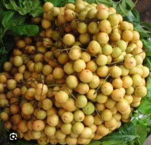 Burmese Grapes