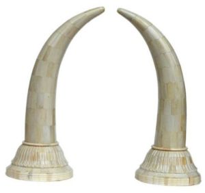 White Bone Tusk Pair