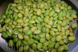 Avare Dal