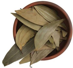 Bay Leaf