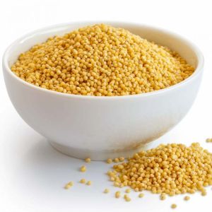 Foxtail Millet Seeds