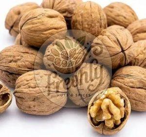 Shelled Walnuts, Color : Brown, Packaging Size : 5-50kg