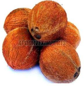 Organic Fresh Fully Husked Coconut Natural