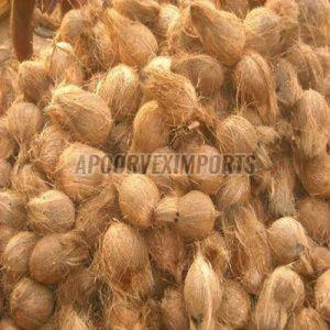 Hard Organic Fresh Semi Husked Coconut, Color : Brown