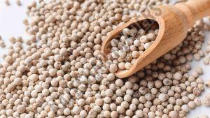 White Pepper Seeds, Quality Available : A Grade