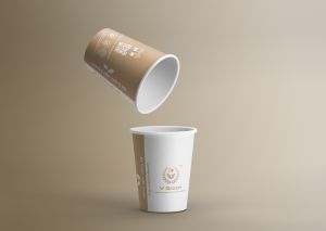 Brown & White Bio Compostable Paper Cup
