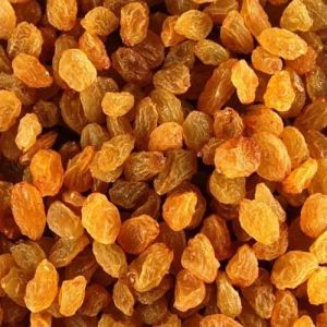 Golden Dry Grapes, Packaging Type : Bag for Snacking Or Baking