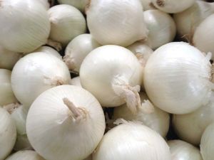 Fresh White Onions, Packaging Type : PP Bag