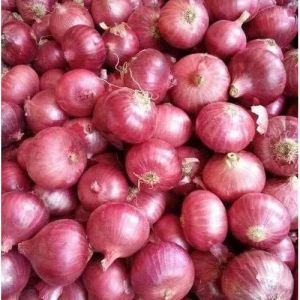 A Grade Red Onion, Packaging Size : 5-25kg, Form : Whole