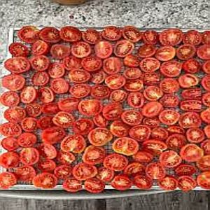 Dehydrated Tomato, Color : Red, Packaging Type : Sealed Pouch