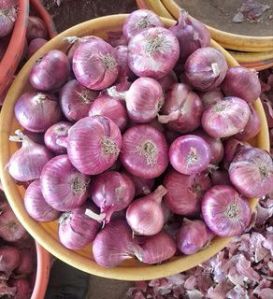 Fresh Garhwa Red Onion