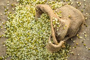 Split Green Moong Dal, Packaging Size : 25-50kg