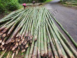 Bamboo Poles