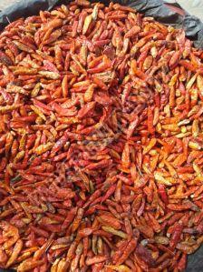 Bird Eye Chilli