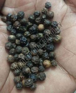 Black Pepper Seeds
