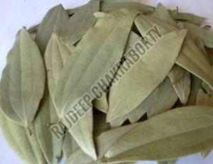 Dried Bay Leaves