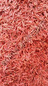 Dried Red Chilli