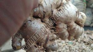fresh ginger