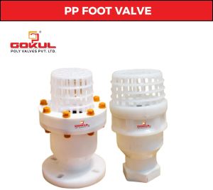 Polypropylene Foot Valve