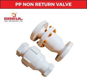 Polypropylene Non Return Screwed Valve