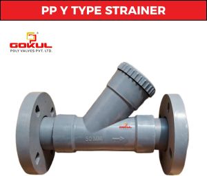 PP Y Type Strainer Flange End
