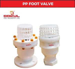 Screwed End PP Foot Valve