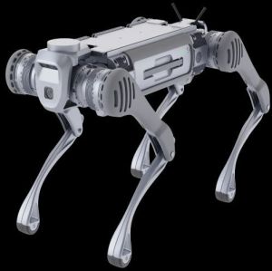Unitree B2 Intelligent Robot