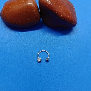 Circular Barbell Piercing Ring