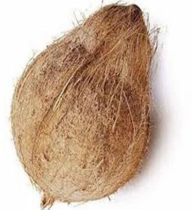 Premium Semi Husked Coconut, Color : Brown, Packaging Type : PP Bag