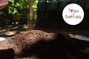 Neem Powered Soil Enhancer